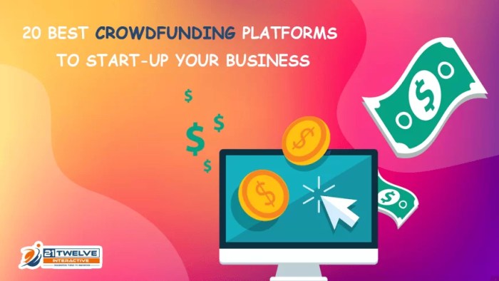 Crowdfunding platforms