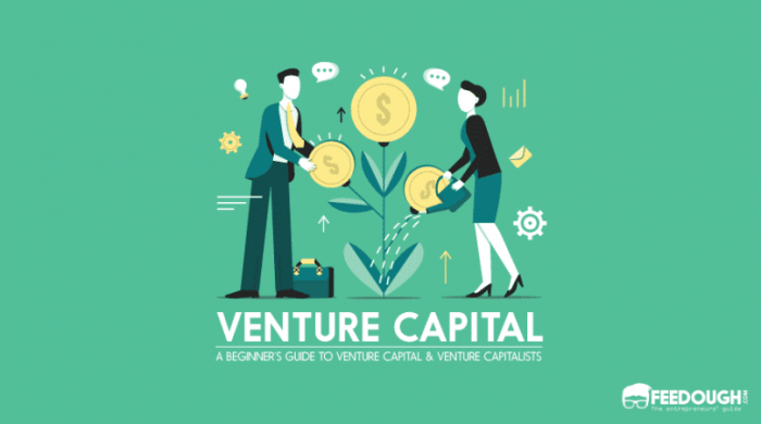 Venture capitalist capitalists nedir funding fund startups investors funds