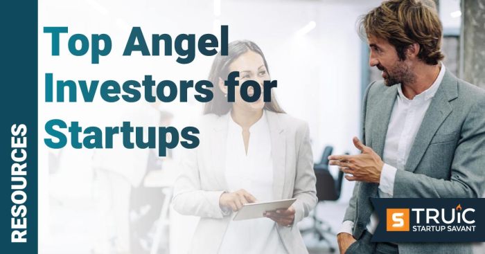 Angel investor investors empower agents startups ways